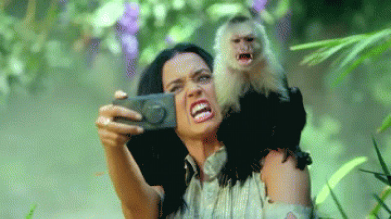Katy Perry cu o maimu