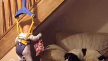 mission-impossible-baby-steals-from-dog