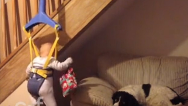 mission-impossible-baby-steals-from-dog