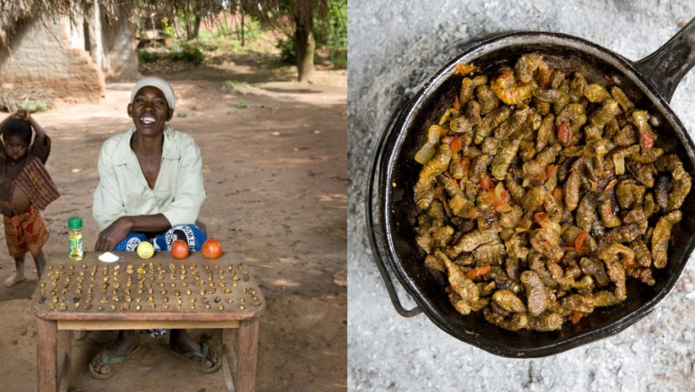 malawi-1024x512