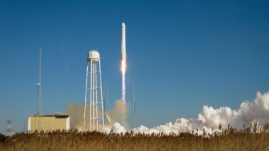 cygnus