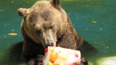 urs rio zoo