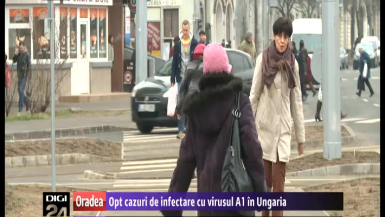 gripa ungaria
