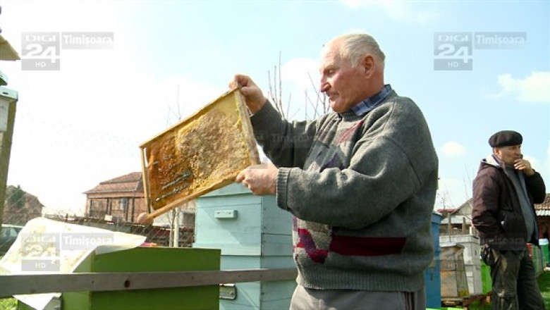 targul apicultorilor 20