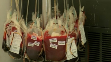 transfuzii