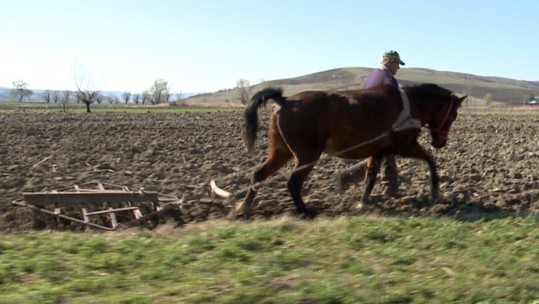 COPERTA AGRICULTURA CU CALUL