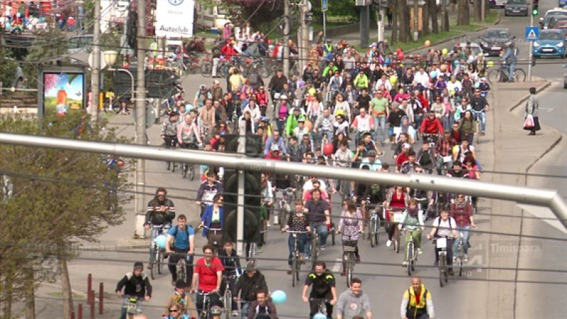 Verde pentru Biciclete 11