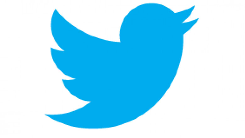 twitter bird