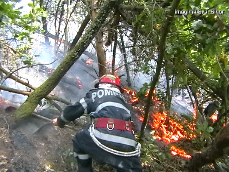 Incendiu de vegetație în Hunedoara. 60 de hectare au fost afectate, iar focul a ajuns aproape de o mănăstire