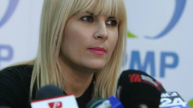 elena udrea fb2