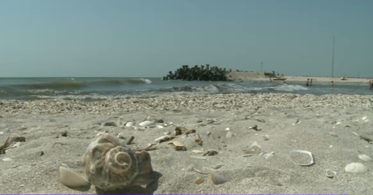 Tragedie aviatică în Delta Dunării: Avion prăbușit la Gura Portiței