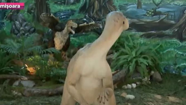 dinozaur prima