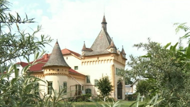 castel Arad