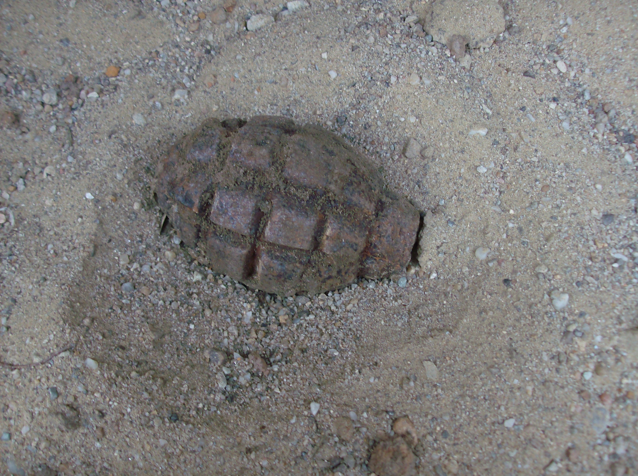 Pericol la pescuit. Un bărbat din Mehedinți a agățat două grenade cu undița, pe malul Dunării. Au fost chemați pirotehniștii