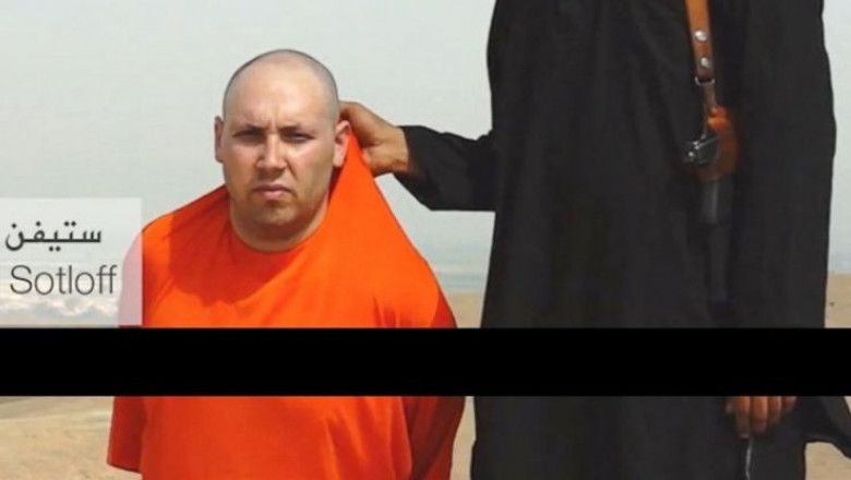 steven sotloff crop