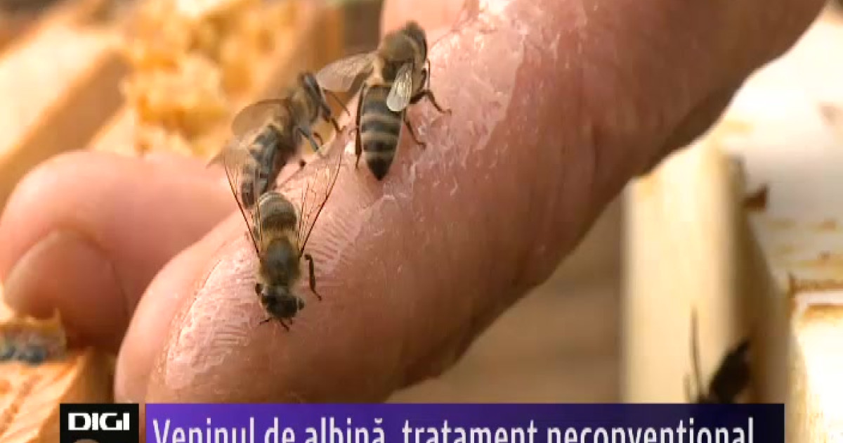 Cusatura durere in partea inferioara a spatelui la barba?i