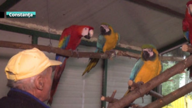papagali exotici