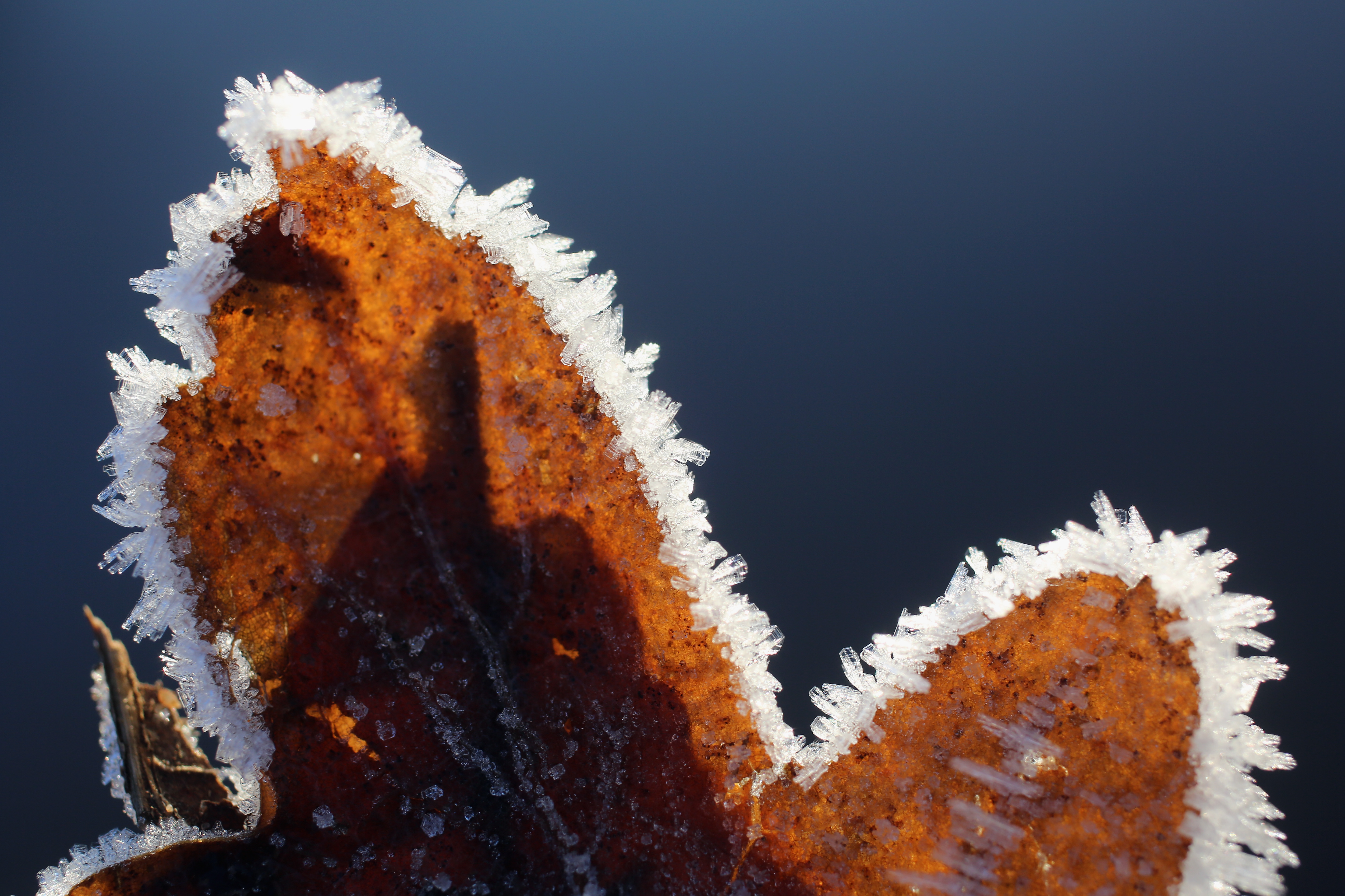 Minus 1,3 grade Celsius, cea mai scăzută temperatură din ţară, înregistrată azi-dimineață la Miercurea-Ciuc