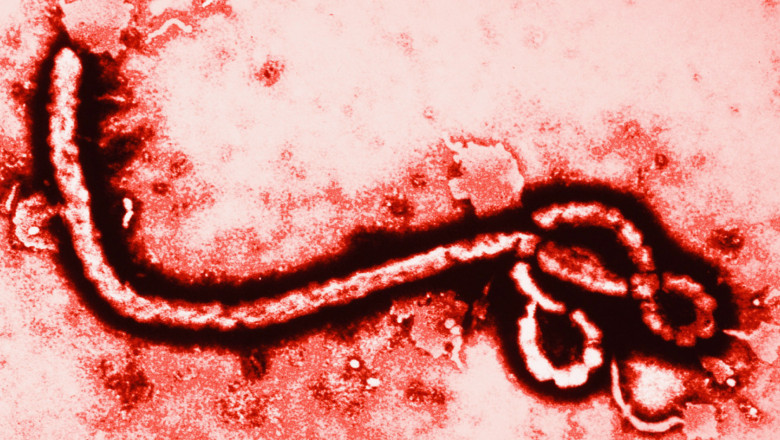 EBOLA