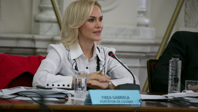 gabriela vranceanu firea - fb