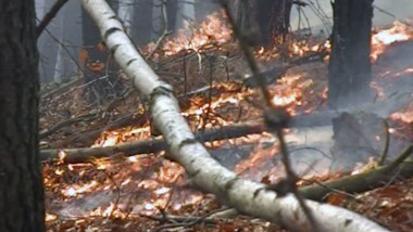 icon incendiu in muntii sureanu tel 141114