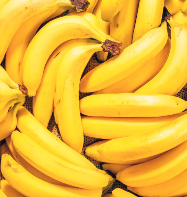 shutterstock_518328943