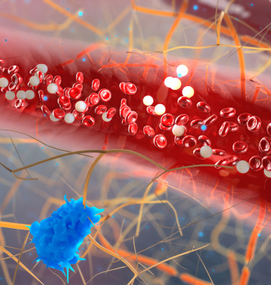 vena celule