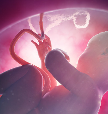 copil placenta