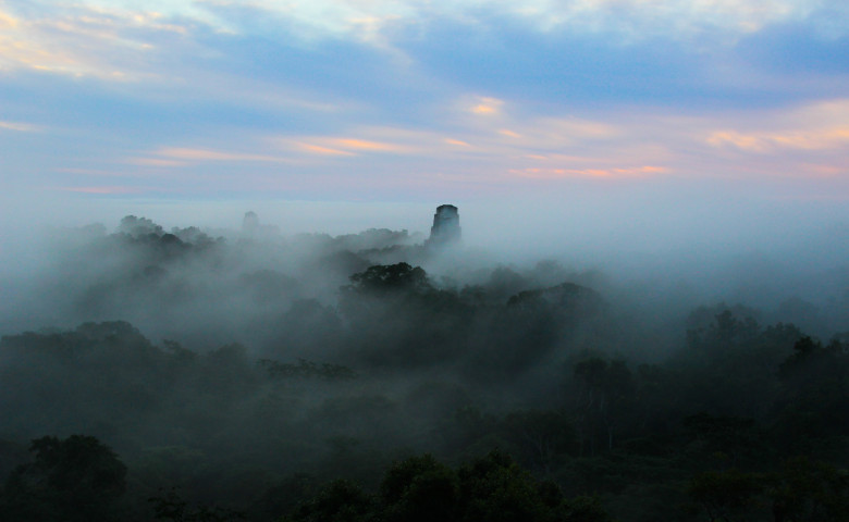 jungla guatemala amazon templu tikal maya