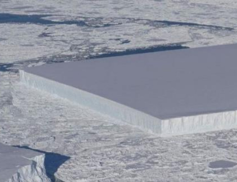 iceberg drept