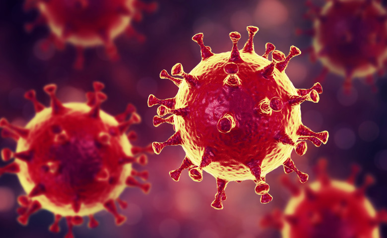 coronavirus MERS