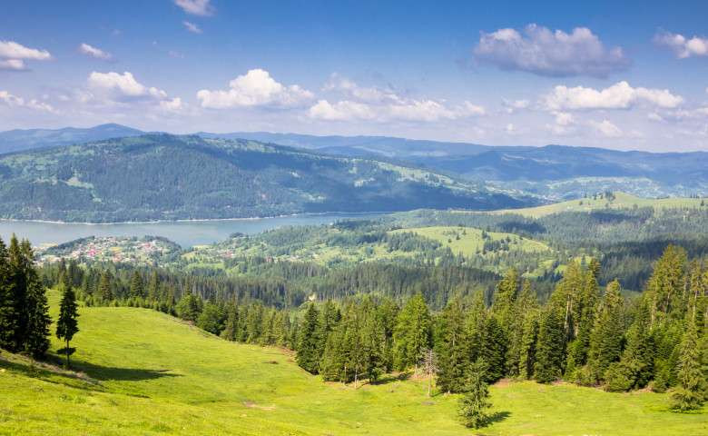 shutterstock_1060335860