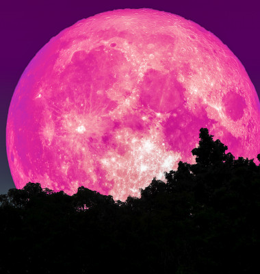 luna capsuna roz