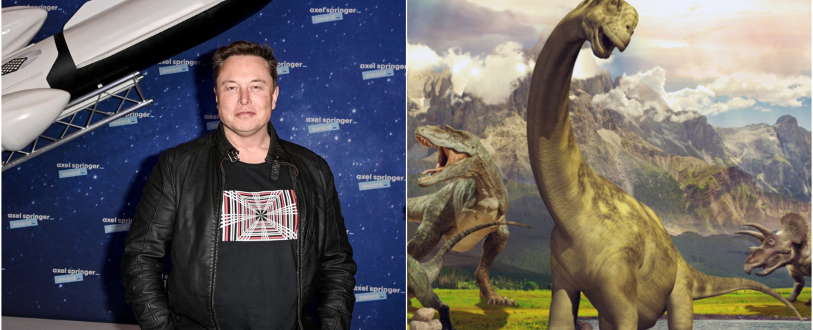 elon