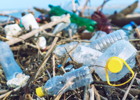 poluare plastic