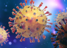 tulpina delta coronavirus