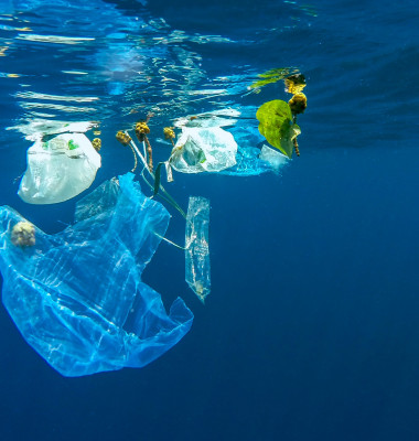 poluarea apelor cu plastic