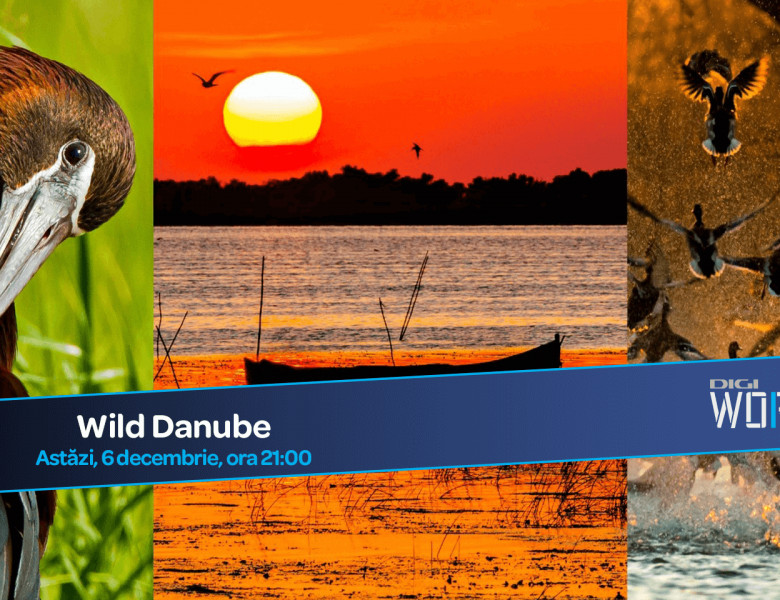 Vizual Wild Danube (2)