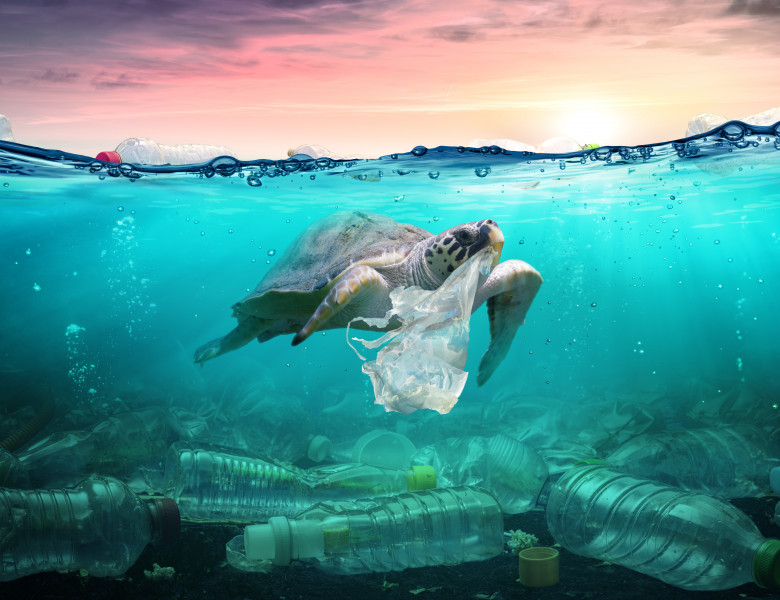 Plastic,Pollution,In,Ocean,-,Turtle,Eat,Plastic,Bag,-