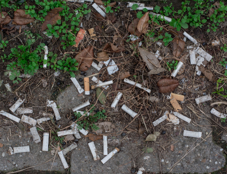 Cigaret,Buds,On,The,Sidewalk.,Example,Of,Littering,Which,Has