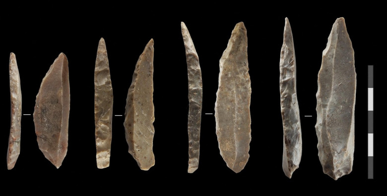 Secvenţierea genomului Omului de Neanderthal/ Profimedia