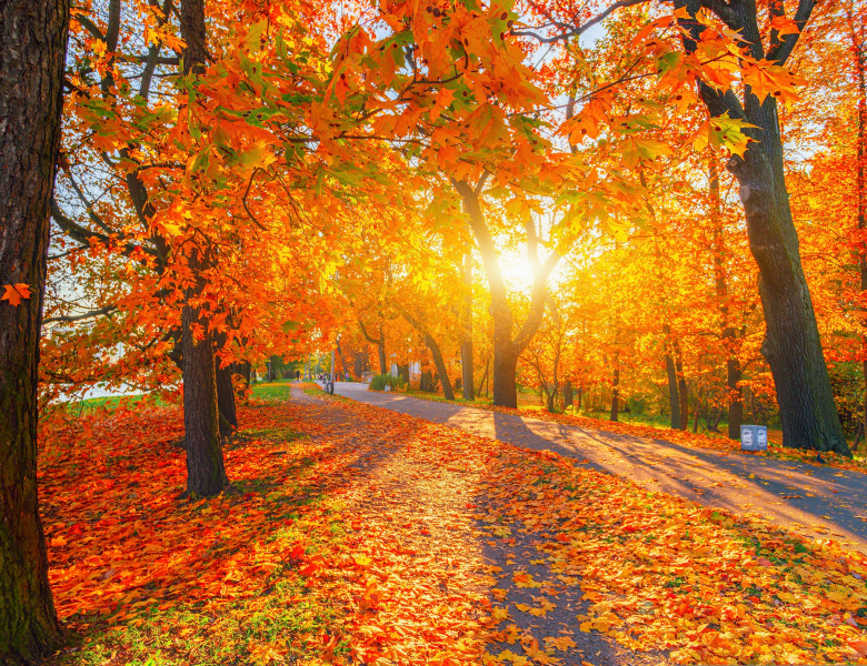 Luna octombrie, cea mai caldă lună înregistrată vreodată în Europa/ Shutterstock