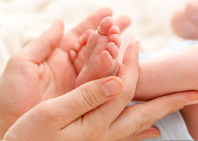 Bebeluș/ Shutterstock