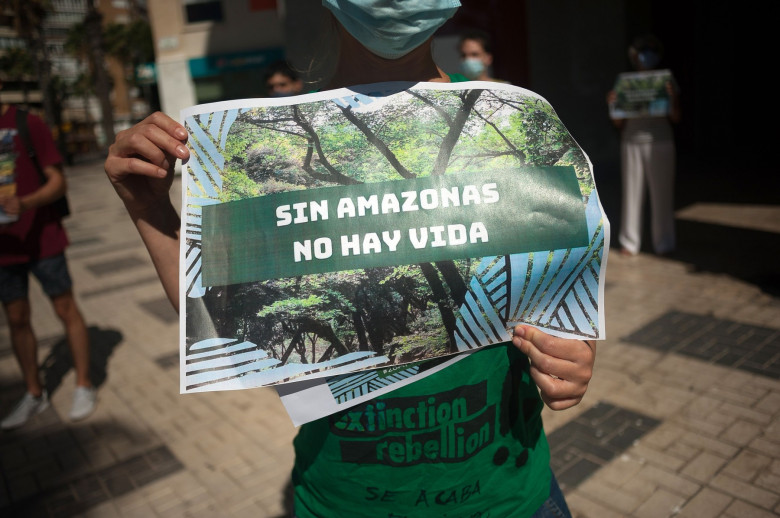 Protest against Deforestation of Amazonia in Malaga, Spain - 28 Aug 2020