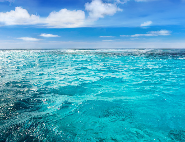 Temperatura oceanelor lumii a ajuns la un nivel record/ Shutterstock