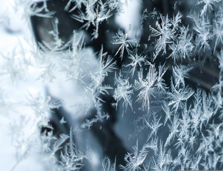 Fulgi de gheață/ Shutterstock