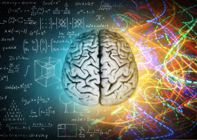 The,Concept,Of,The,Human,Brain.,The,Right,Creative,Hemisphere