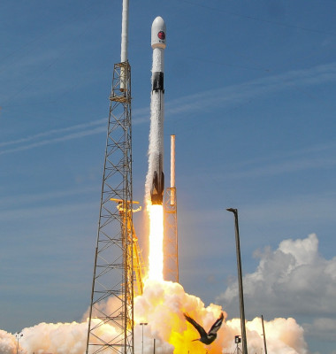 News: SpaceX Launch Carries Euclid Space Telescope