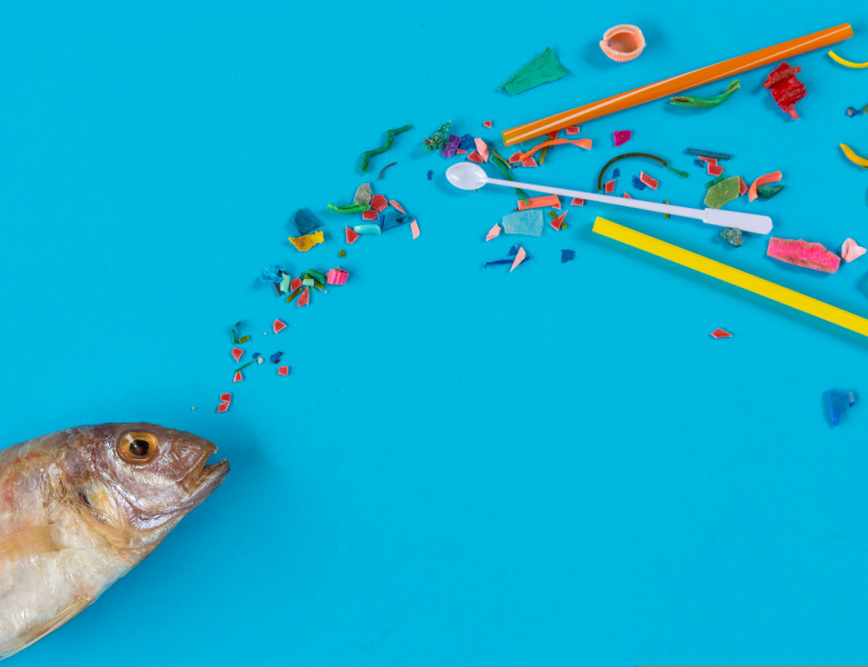 Fish,About,To,Consume,Micro,Plastics,Breaking,From,Plastic,Trash