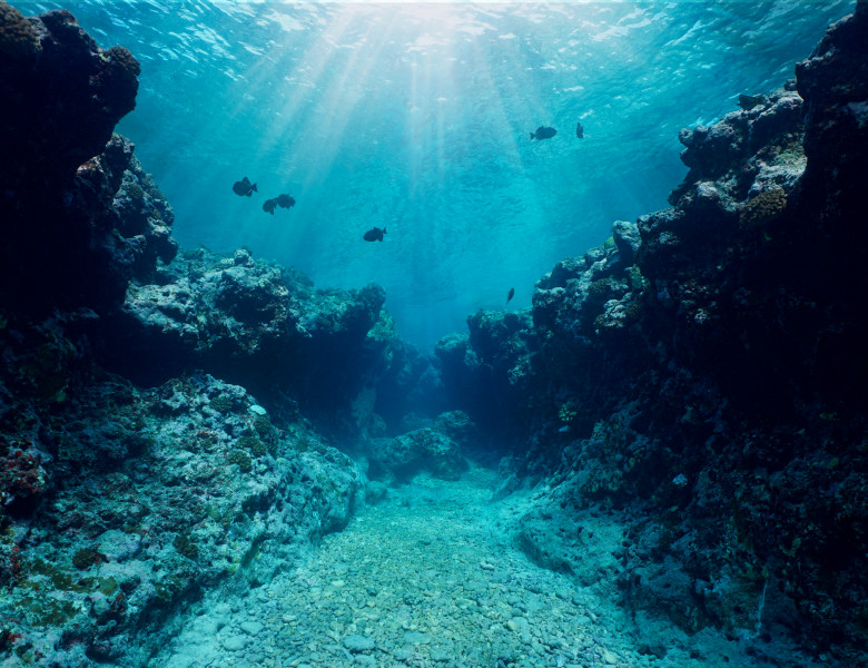 Canyon,Underwater,In,The,Reef,With,Sunlight,Through,Water,Surface,